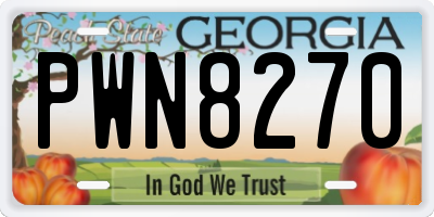GA license plate PWN8270