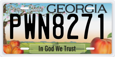 GA license plate PWN8271