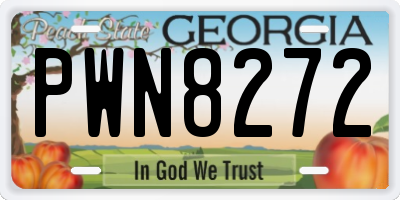 GA license plate PWN8272