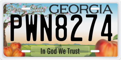 GA license plate PWN8274