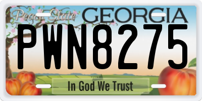 GA license plate PWN8275