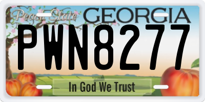 GA license plate PWN8277