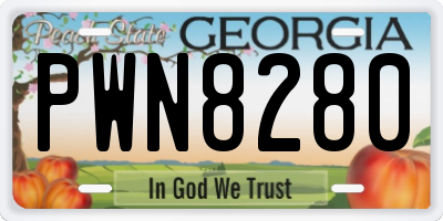GA license plate PWN8280