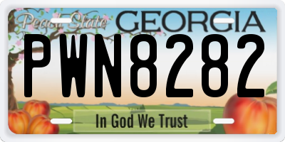 GA license plate PWN8282