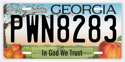 GA license plate PWN8283