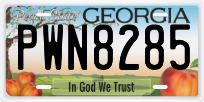GA license plate PWN8285