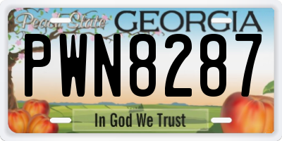 GA license plate PWN8287