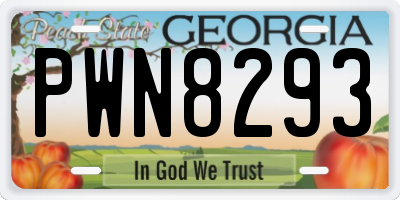 GA license plate PWN8293