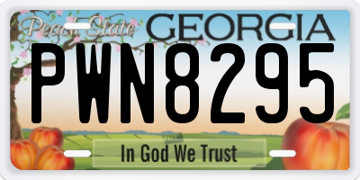GA license plate PWN8295