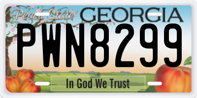 GA license plate PWN8299