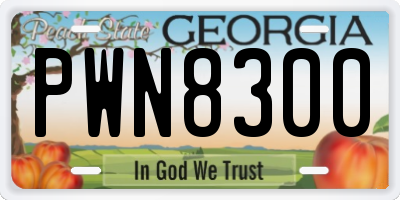 GA license plate PWN8300