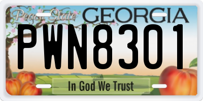 GA license plate PWN8301