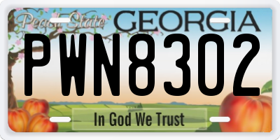 GA license plate PWN8302