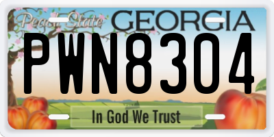 GA license plate PWN8304