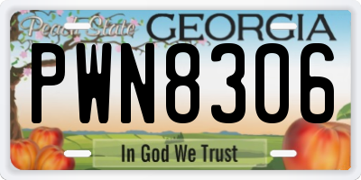 GA license plate PWN8306