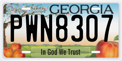 GA license plate PWN8307