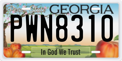 GA license plate PWN8310