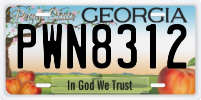 GA license plate PWN8312