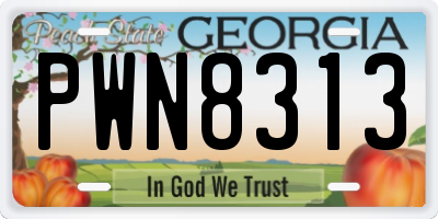 GA license plate PWN8313