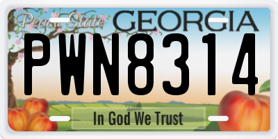 GA license plate PWN8314