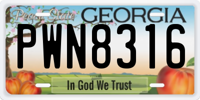 GA license plate PWN8316