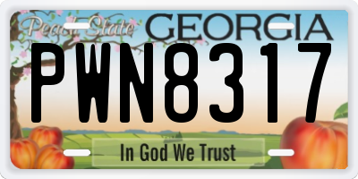 GA license plate PWN8317