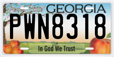 GA license plate PWN8318