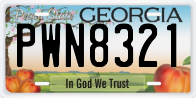 GA license plate PWN8321