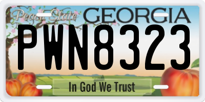 GA license plate PWN8323