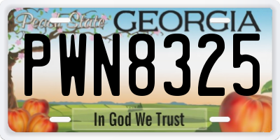 GA license plate PWN8325