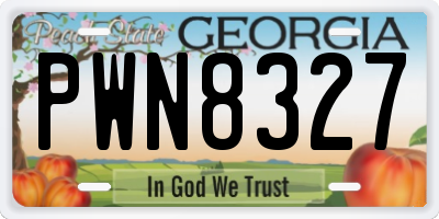 GA license plate PWN8327