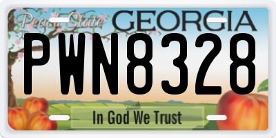 GA license plate PWN8328