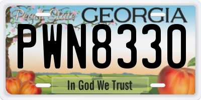 GA license plate PWN8330