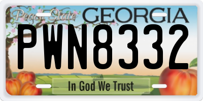 GA license plate PWN8332