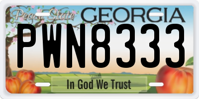 GA license plate PWN8333