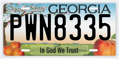 GA license plate PWN8335