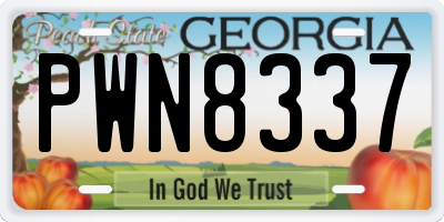 GA license plate PWN8337