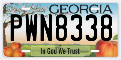 GA license plate PWN8338