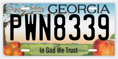GA license plate PWN8339