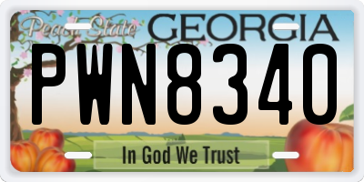 GA license plate PWN8340