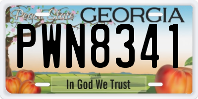 GA license plate PWN8341