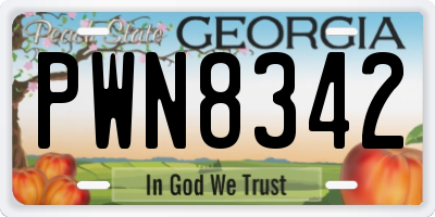 GA license plate PWN8342