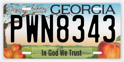 GA license plate PWN8343