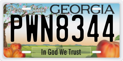 GA license plate PWN8344