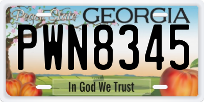 GA license plate PWN8345