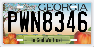 GA license plate PWN8346