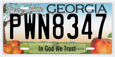 GA license plate PWN8347