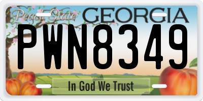 GA license plate PWN8349