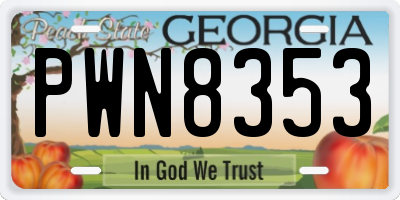 GA license plate PWN8353