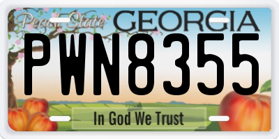 GA license plate PWN8355